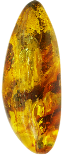 36,90 g Amber Nugget with inclusion (3)