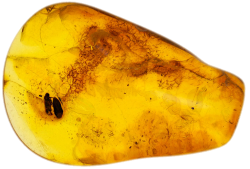 3,10 g Amber Nugget with inclusion (1)