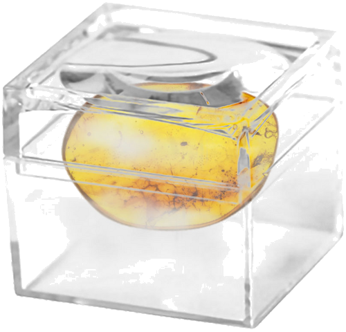 0,90 гр. Самороден кефлибар с фосил (2)