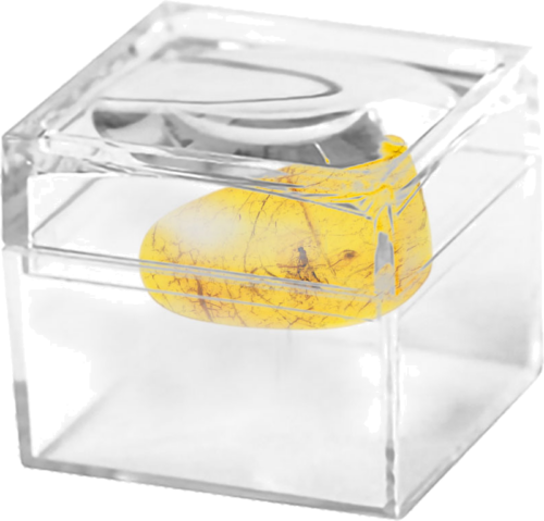 1,40 гр. Самороден кехлибар с фосил (2)