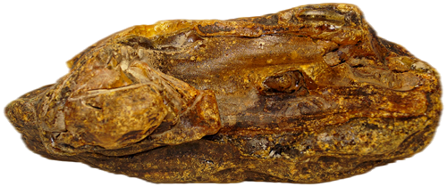 308 g Amber Nugget (2)