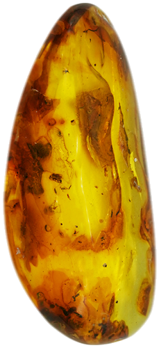 16,50 g Amber Nugget with inclusion (2)