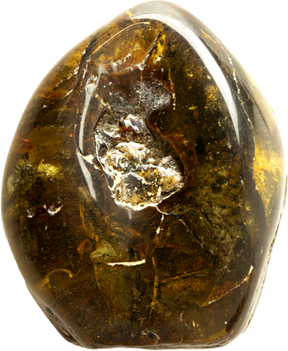 48,75 g Gintaro grynuolis su skruzdės inkliuzu (1)