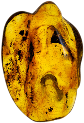 14,95 g Amber Nugget with inclusion (1)