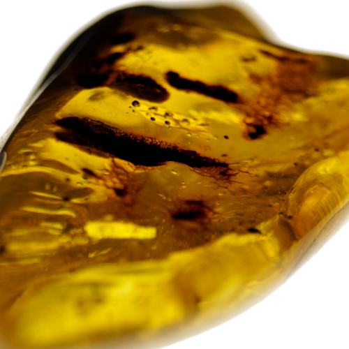 73.35 g Amber Nugget (2)