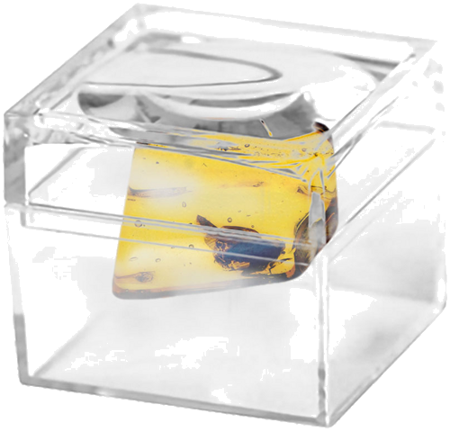 1,10 g Amber Nugget with inclusion (2)