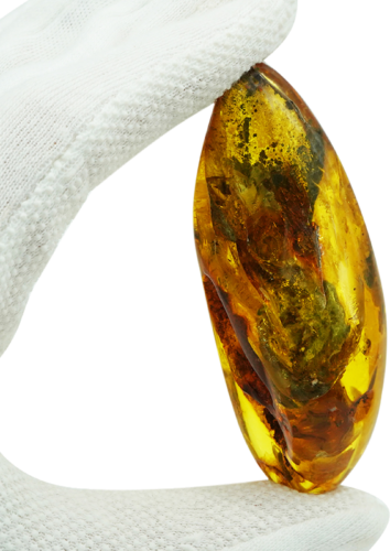 36,90 g Amber Nugget with inclusion (1)