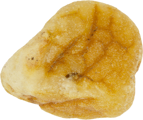 6,45 g Jūrinio Gintaro grynuolis (2)