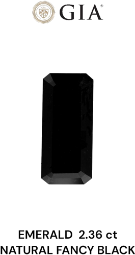 2.36 carat Fancy Black-VVS2 Natūralus Emerald Deimantas (1)