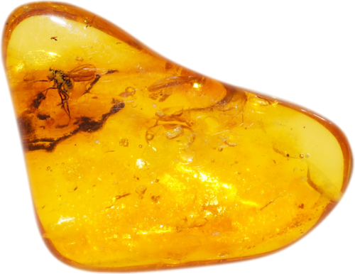 1,15 g Amber Nugget with inclusion (1)