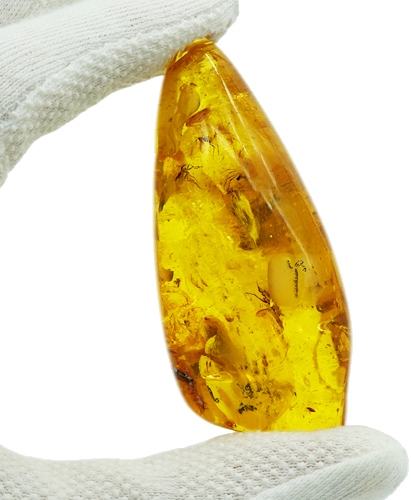 32,25 g Amber Nugget with inclusion (1)