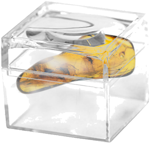 2,30 g Amber Nugget with inclusions (2)