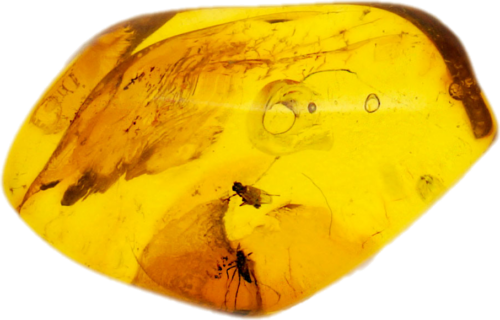 1,25 g Amber Nugget with inclusion (1)