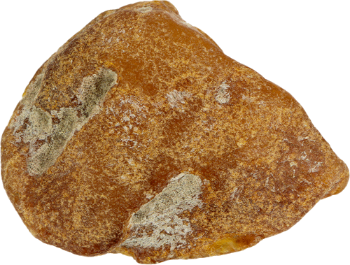 13.05 g Sea amber nugget (2)