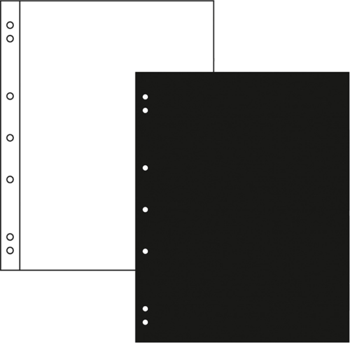 Starplapas NUMIS (1)