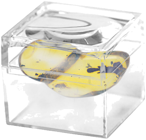 Самородок янтаря с инклюзом 2,35 г (2)