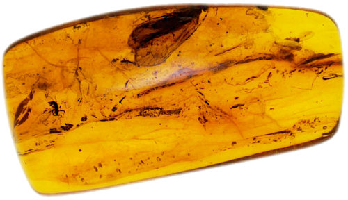 2,15 g Amber Nugget with inclusion (1)