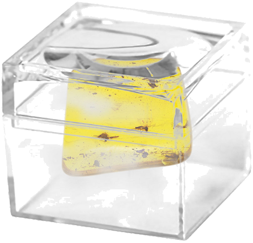 Самородок янтаря с инклюзом 2,35 г (2)