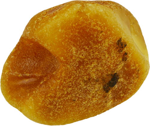 12,40 g Jūrinio Gintaro grynuolis (1)