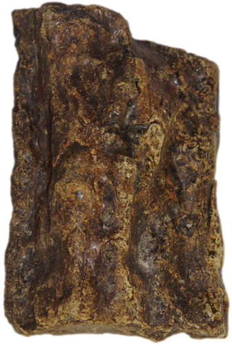 292 гр. Самороден кехлибар (2)