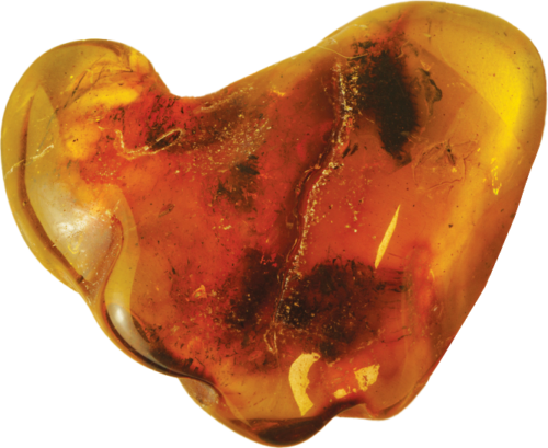 7,40 g Amber Nugget with inclusion (1)