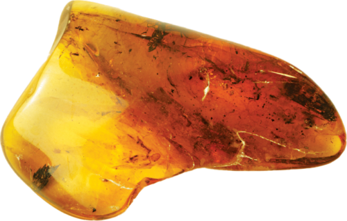 5,55 g Amber Nugget with inclusion (2)