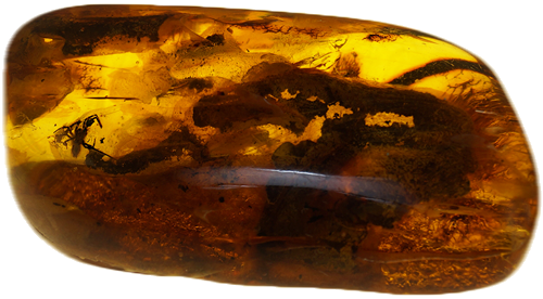 30,20 g Amber Nugget with inclusion (1)