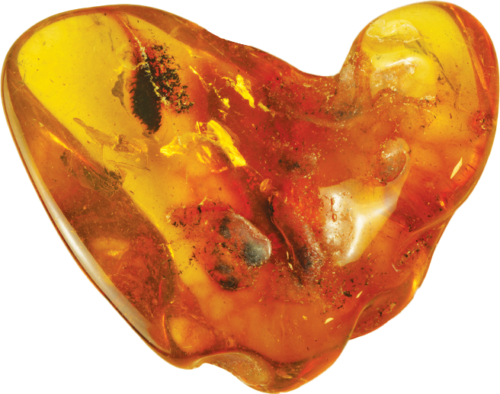 7,40 g Amber Nugget with inclusion (2)
