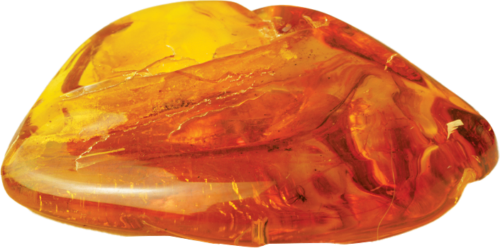 18,20 g Amber Nugget with inclusion (4)