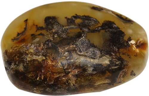 20 g Amber Nugget (1)