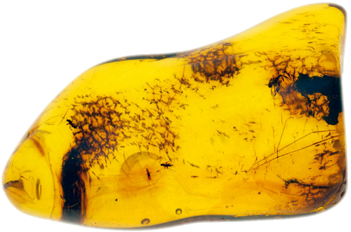 6,80 гр. Самороден кехлибар с фосил (1)