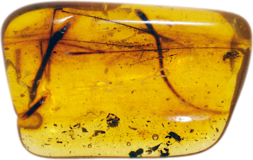 3,50 g Amber Nugget with inclusion (1)