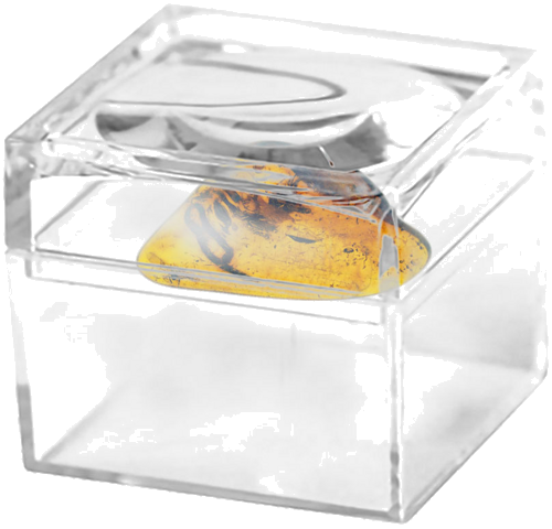 1,40 g Amber Nugget with inclusions (2)