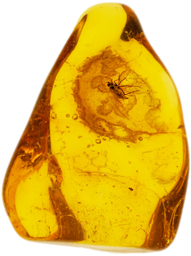 1,90 g Amber Nugget with inclusion (1)