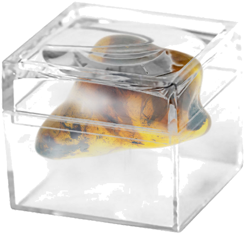 7,05 g Gintaro grynuolis su inkliuzais (2)