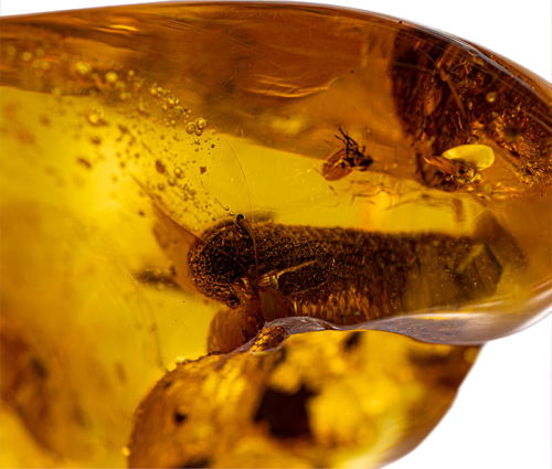 29,90 g Amber Nugget with inclusion (4)