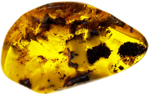 57,55 Amber Nugget (2)