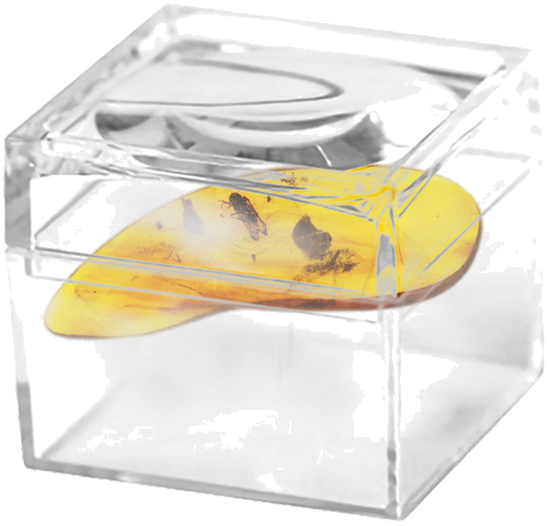 Самородок янтаря с инклюзом 1,20 г (2)