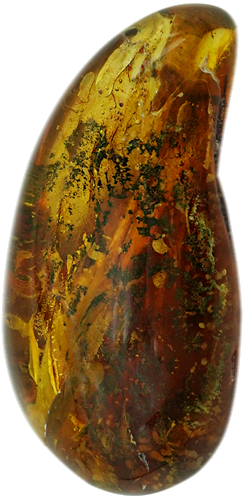 29,15 g Amber Nugget with inclusion (3)