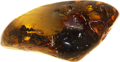 52,55 g Amber Nugget with natural cloud (1)