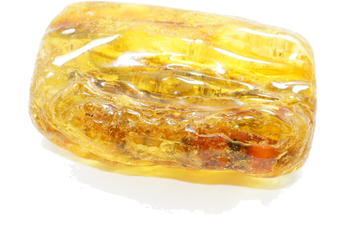 37 g Gintaro grynuolis (2)