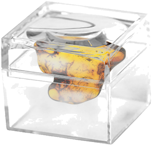 2,15 гр. Самороден кехлибар с фосил (2)