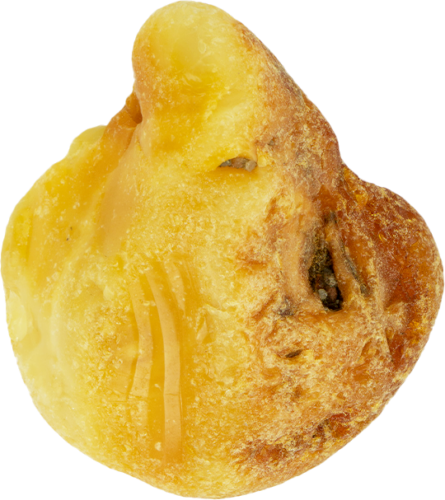 10,60 g Jūrinio Gintaro grynuolis (2)