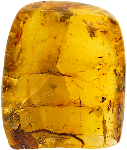 158 g Amber Nugget (2)