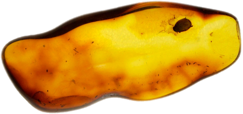 1,60 g Gintaro grynuolis su inkliuzu (1)