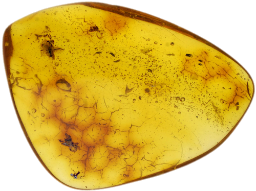 2,50 g Amber Nugget with inclusion (1)
