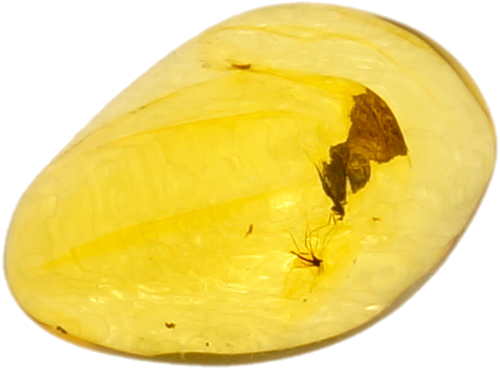 7,70 g Gintaro grynuolis su inkliuzais (3)