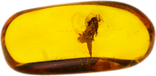 1,00 g Amber Nugget with inclusion (1)