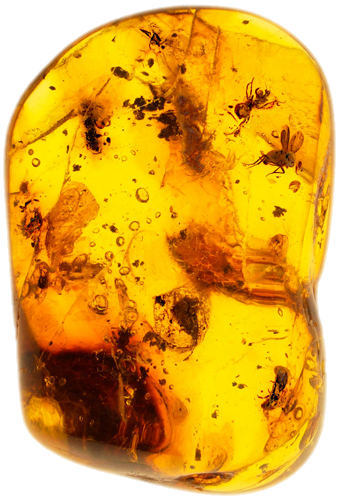 4,50 g Amber Nugget with inclusions (1)