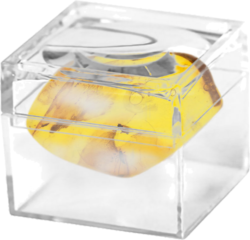 1,25 g Amber Nugget with inclusion (2)